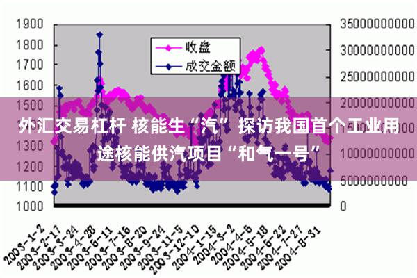 外汇交易杠杆 核能生“汽” 探访我国首个工业用途核能供汽项目“和气一号”