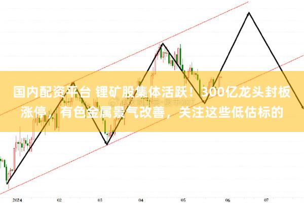 国内配资平台 锂矿股集体活跃！300亿龙头封板涨停，有色金属景气改善，关注这些低估标的