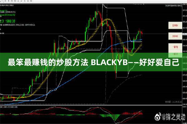 最笨最赚钱的炒股方法 BLACKYB——好好爱自己